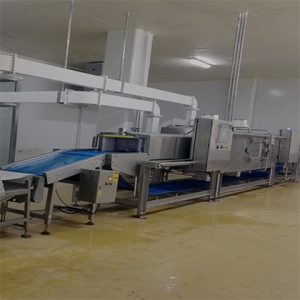 75KW-解冻设备-冻肉解冻机-快速解冻设备-微波解冻（有视频）